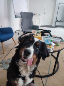 foto madleen ja teraapia